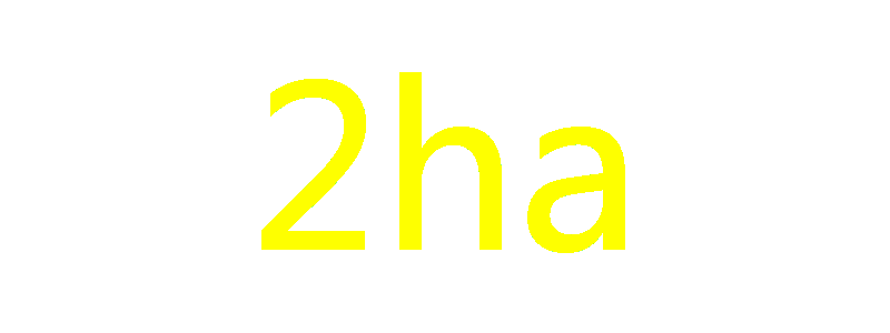 2ha.com GAME-Logo